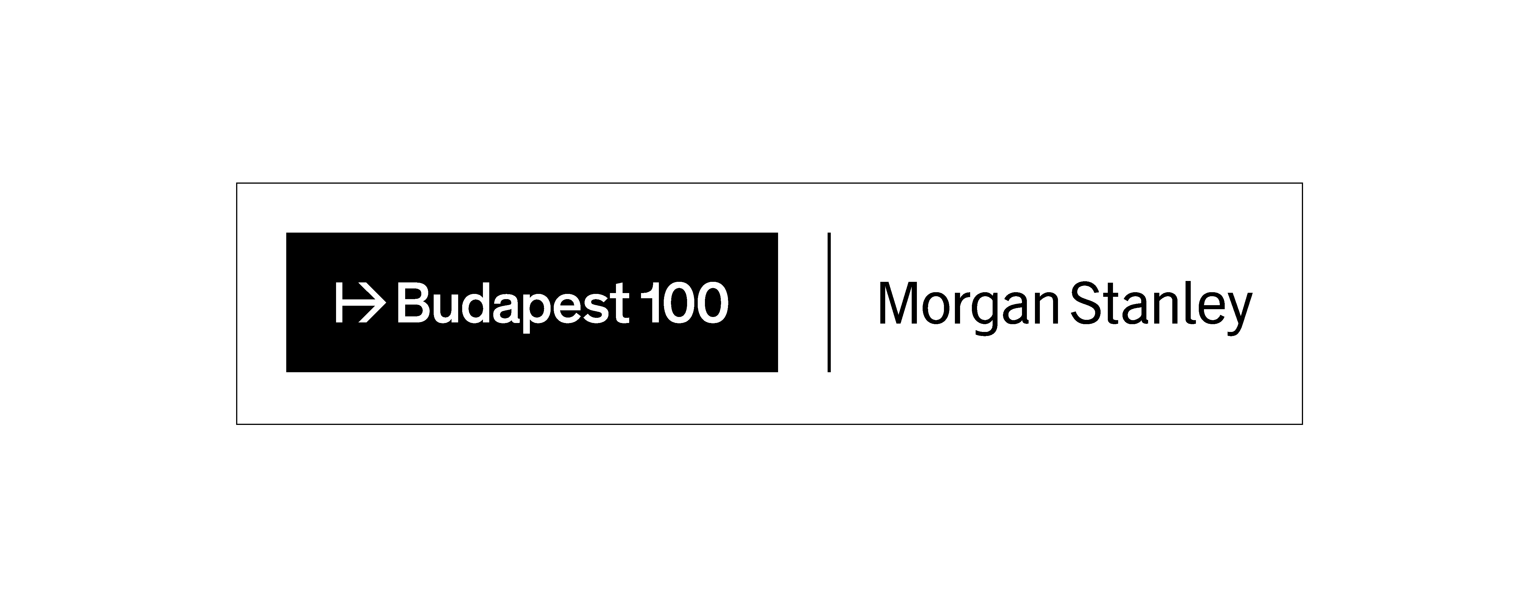 BUDAPEST100_LOGO_MEDIUM_Page_58